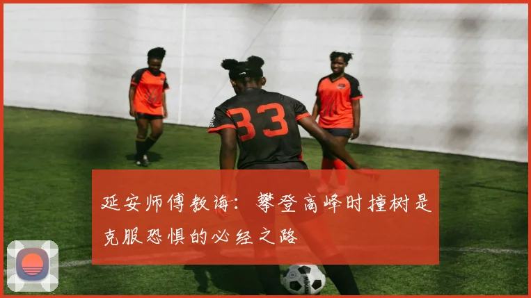 延安师傅教诲：攀登高峰时撞树是克服恐惧的必经之路